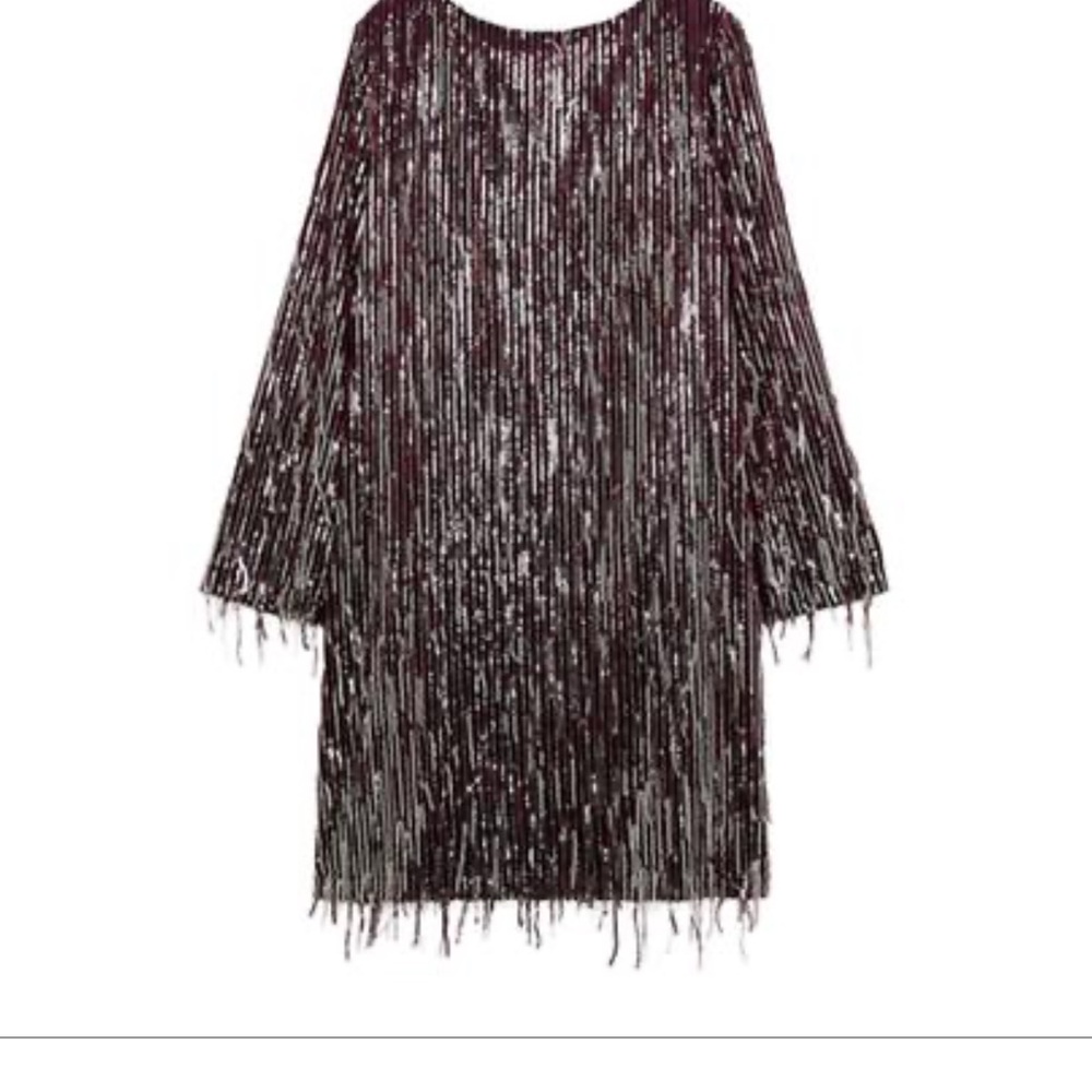 Zara Burgundy Sequin Mini Dress